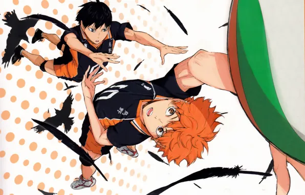 Picture the ball, feathers, red, crows, guys, art, submission, sports uniforms, Haikyuu!!, Volleyball!, Shouyou Hinata, Tobio …