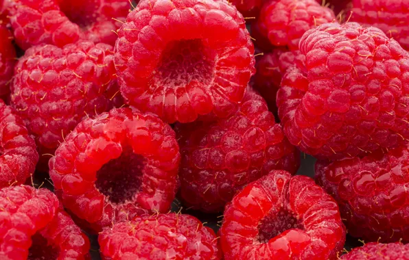 Picture berries, raspberry, background, background, Raspberry