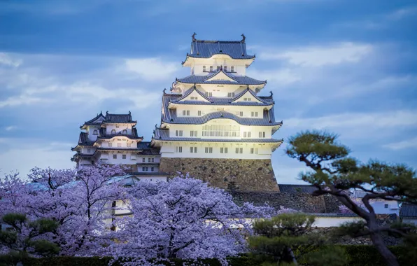 Picture castle, spring, the evening, Japan, Himeji