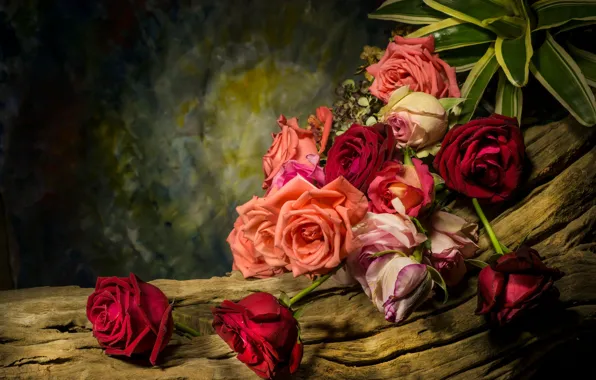 Picture leaves, flowers, tree, roses, snag, still life