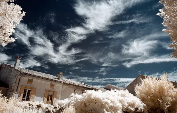 Picture trees, house, France, infrared the, Tulet