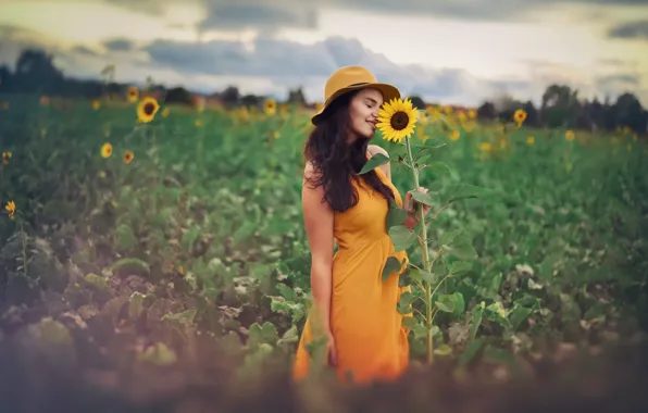 Picture girl, sunflowers, nature
