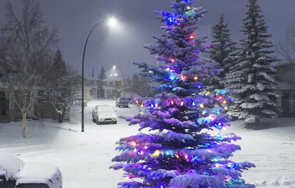 Picture winter, snow, lights, tree, new year, garland
