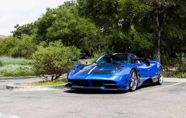 Picture Pagani, Carbon, Blue, To huayr