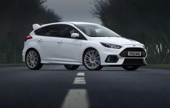 Picture Ford, Focus, White, Road, RS