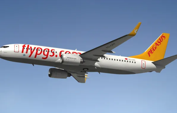 Picture model, Blender3D, Pegasus Airlines, Boeing 737-800