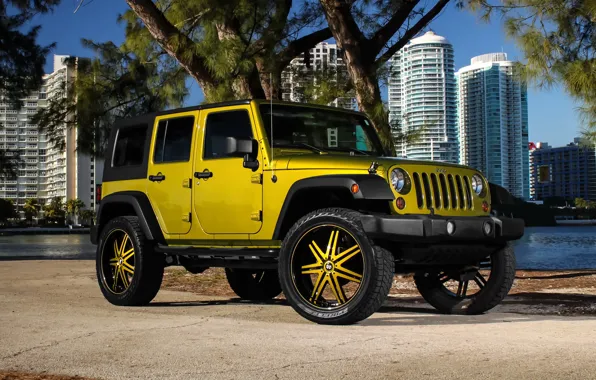 Picture color, Wrangler, Jeep, kit, suspension, lift, wheels., Status