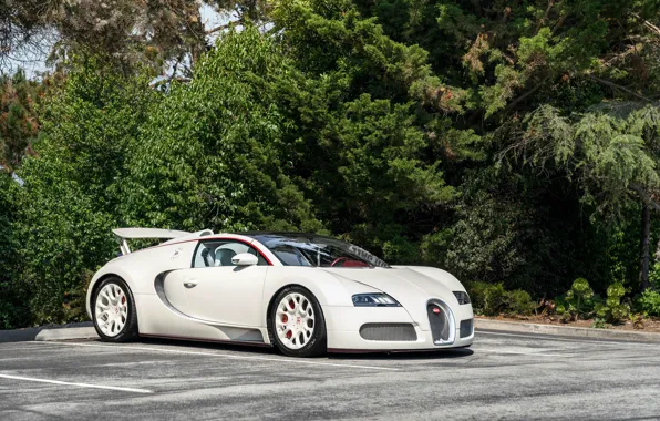 Picture Bugatti, veyron, white, parking