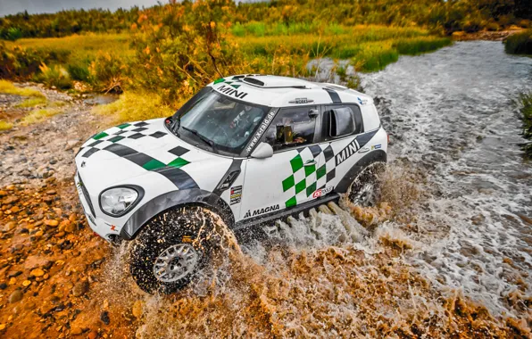 Picture Water, Mini, Grass, Sport, Speed, Race, Rally, Rally, The front, Ford, Raid, MINI Cooper, X-Raid