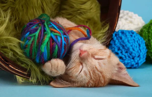 Picture cat, cat, tangle, kitty, sleep, wool, red, sleeping, fur, kitty, thread, balls, yarn