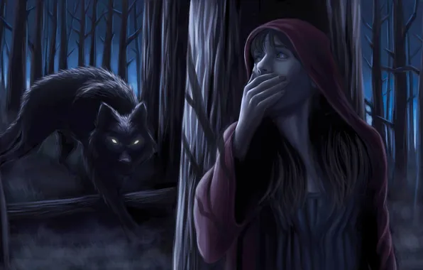 Picture forest, girl, night, wolf, little red riding hood