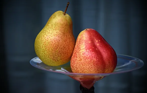 Picture Vase, Fruit, Pear