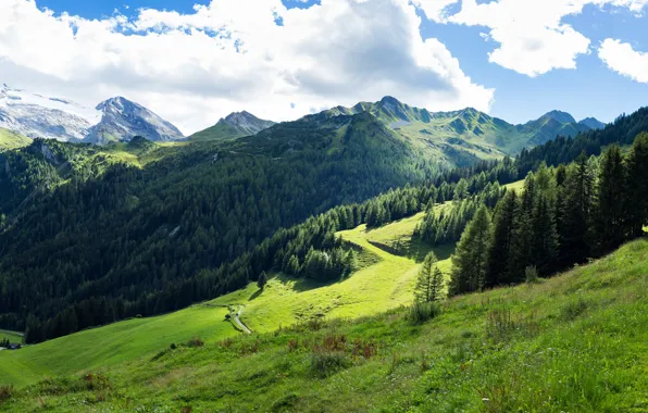 Picture greens, forest, the sky, grass, clouds, trees, mountains, Austria, slope, Alps, Tyrol
