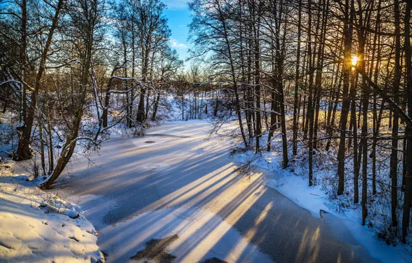 Picture ice, winter, the sky, the sun, trees, river, dawn, shadow, frost, river, winter, snow
