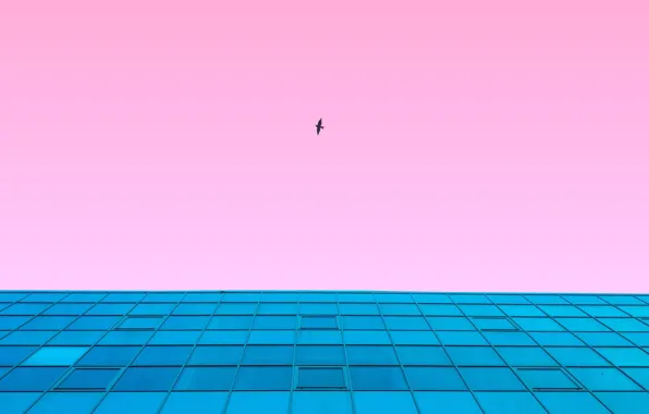Picture the sky, flight, style, background, pink, bird, the building, view