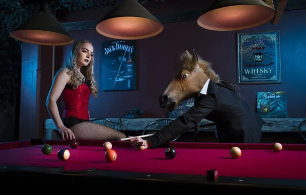 Picture girl, horse, Billiards