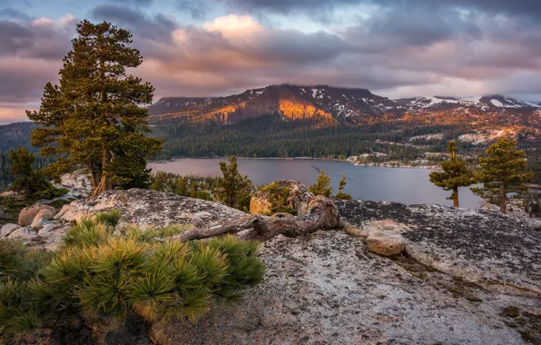 Picture trees, mountains, lake, CA, pine, California, Sierra Nevada, Sierra Nevada, Silver Lake, Eldorado National Forest, …
