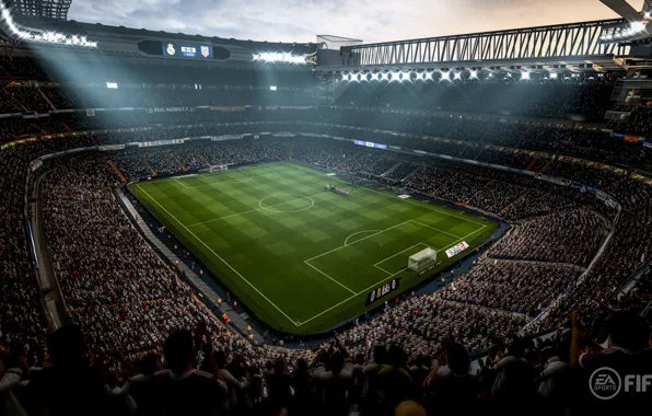 Picture sport, grass, stadium, crowd, soccer, Fifa, fans, arena, Fifa 18