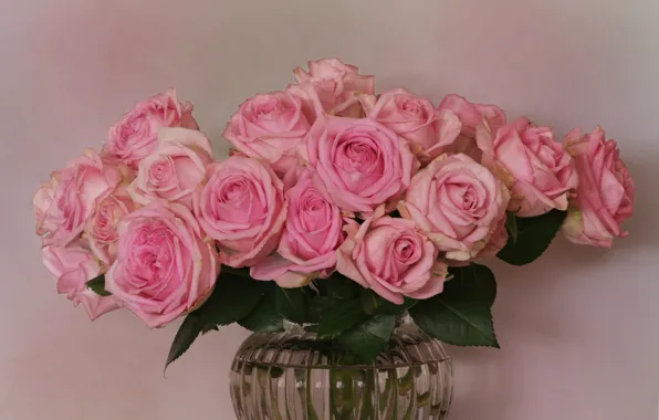Picture flowers, roses, vase, pink