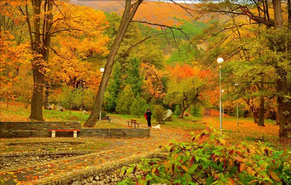 Picture Autumn, Park, Fall, Foliage, Park, Autumn, Colors, Trees, Leaves