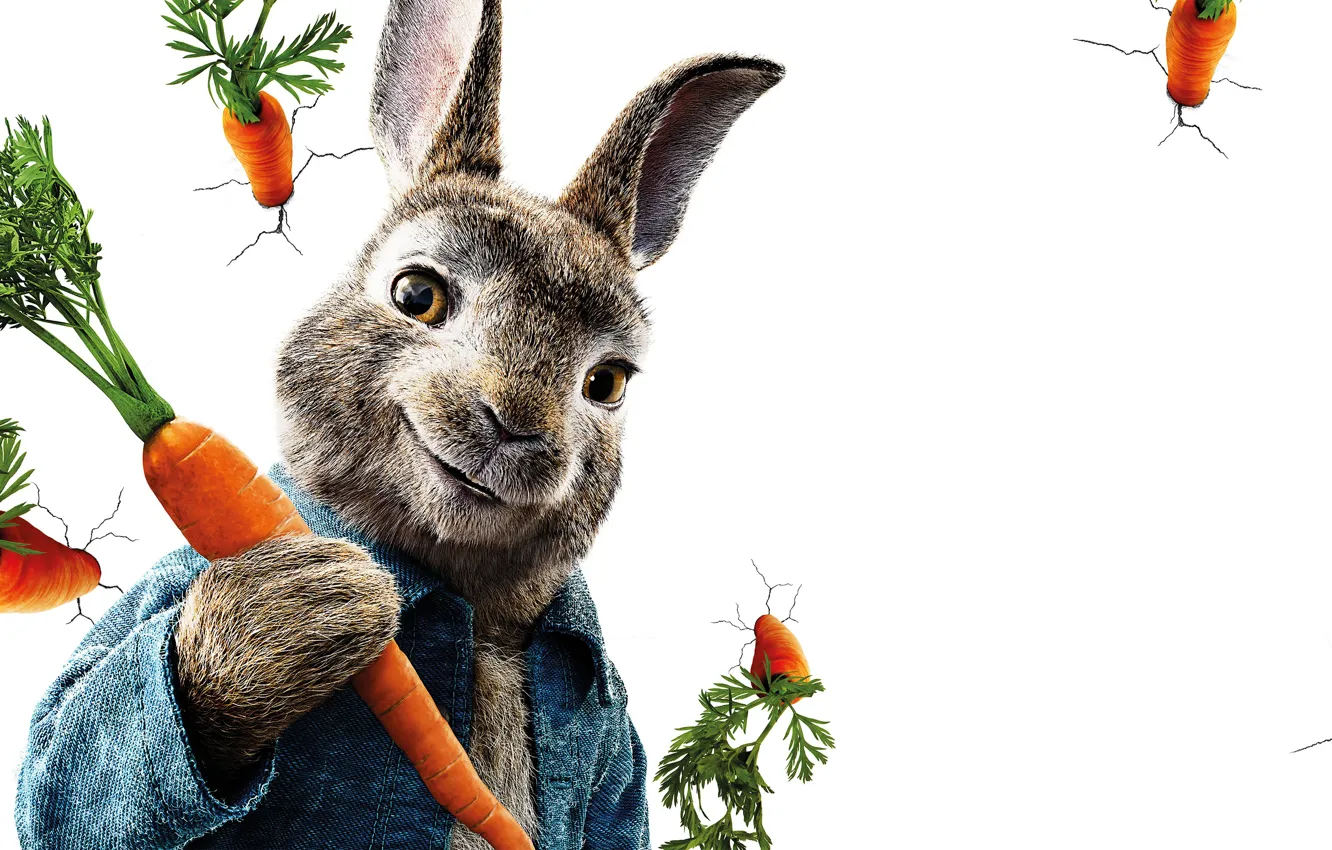Wallpaper cracked, wall, cartoon, rabbit, white background, poster,  carrots, Peter Rabbit, The Adventures Of Peter Rabbit images for desktop,  section фильмы - download
