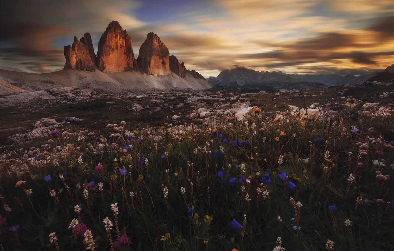Photo wallpaper flowers, mountains, Italy, The Dolomites, Dolomiti, Prehistorical Valley
