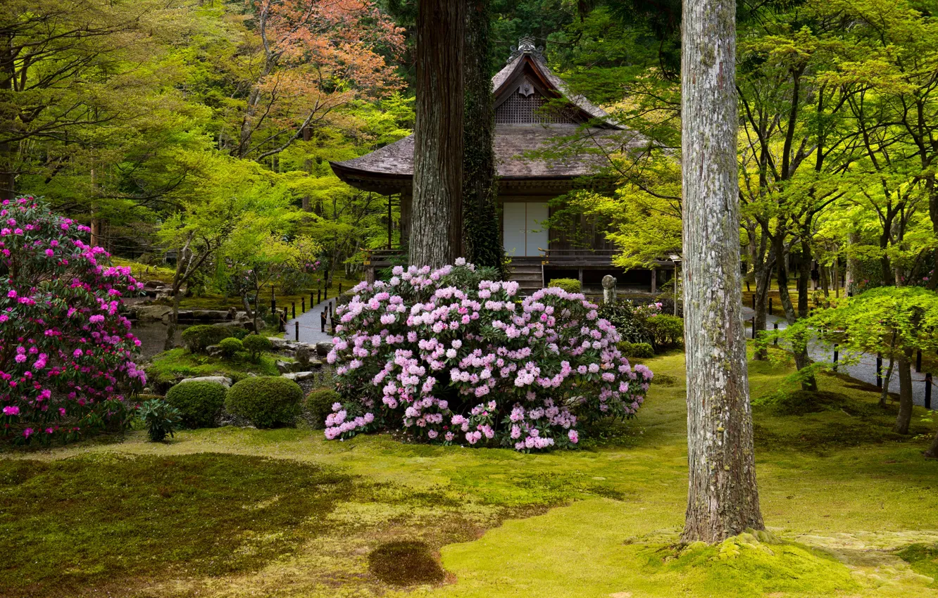 Photo wallpaper greens, grass, trees, flowers, Park, stones, lawn, Japan, pagoda, Kyoto, the bushes, rhododendrons