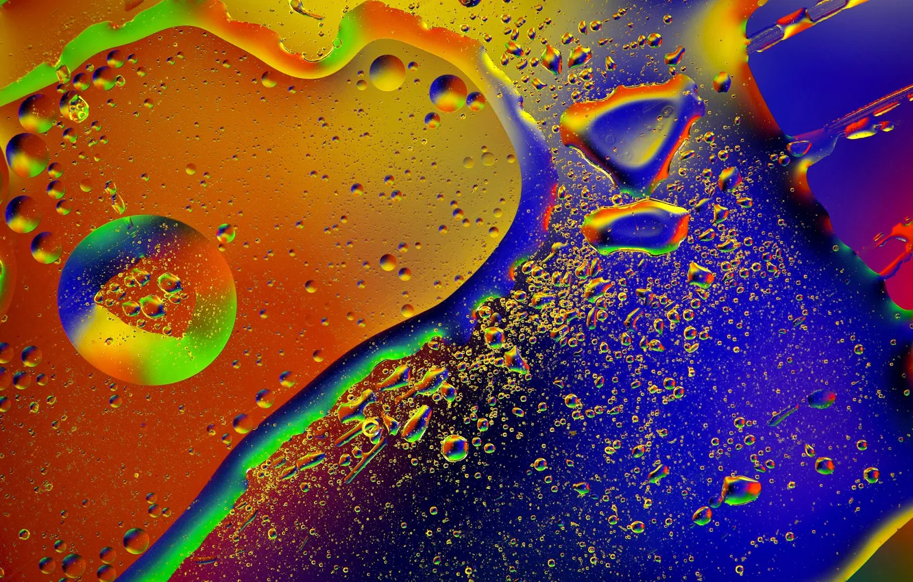 Wallpaper glass, drops, macro, abstraction, oil images for desktop ...