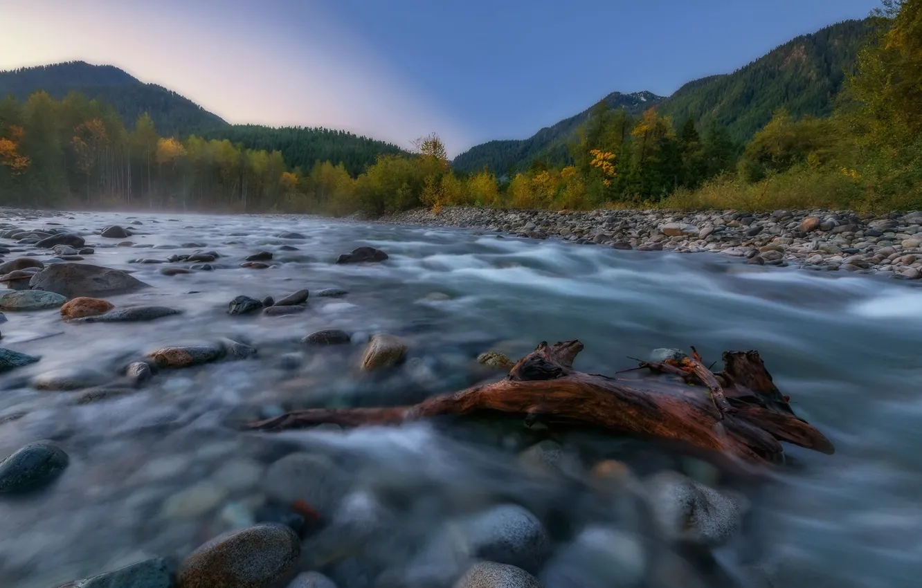 Photo wallpaper nature, river, stones, for, USA, snag, Skykomish, Skykomish, Kevin Russell