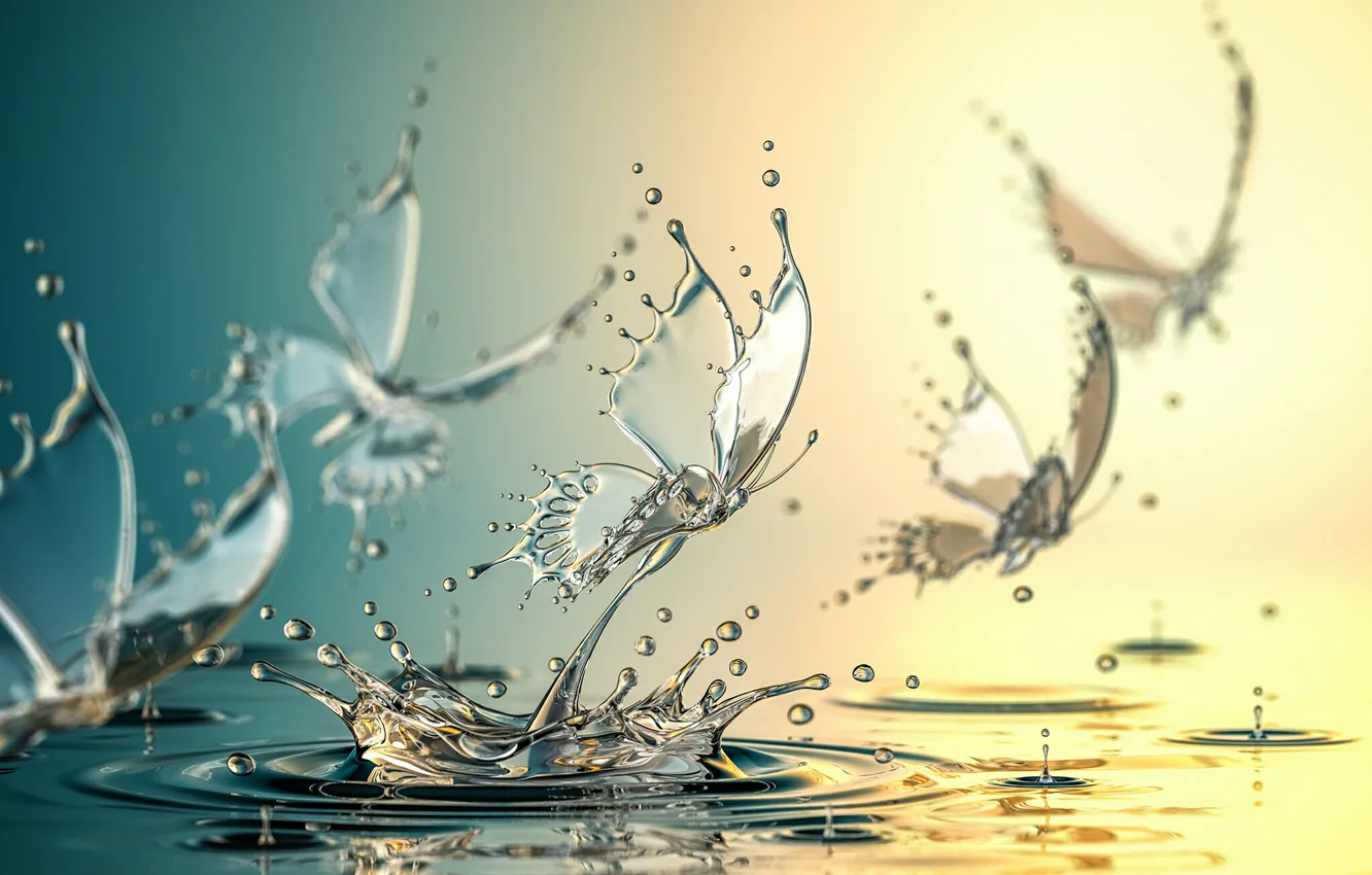 Wallpaper water, butterfly, squirt images for desktop, section ...