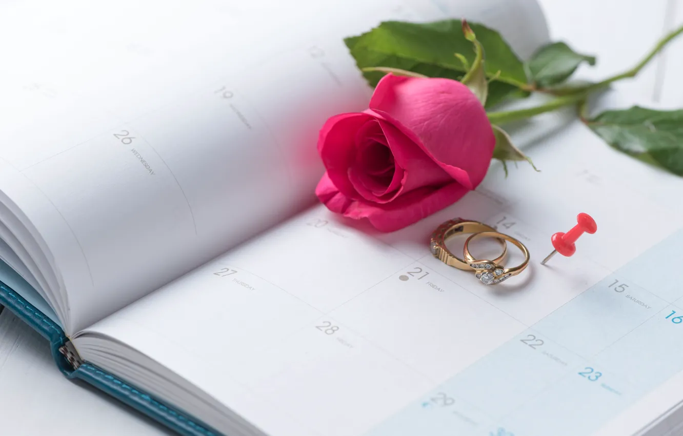 Photo wallpaper holiday, rose, ring, Valentine's day, the indicators