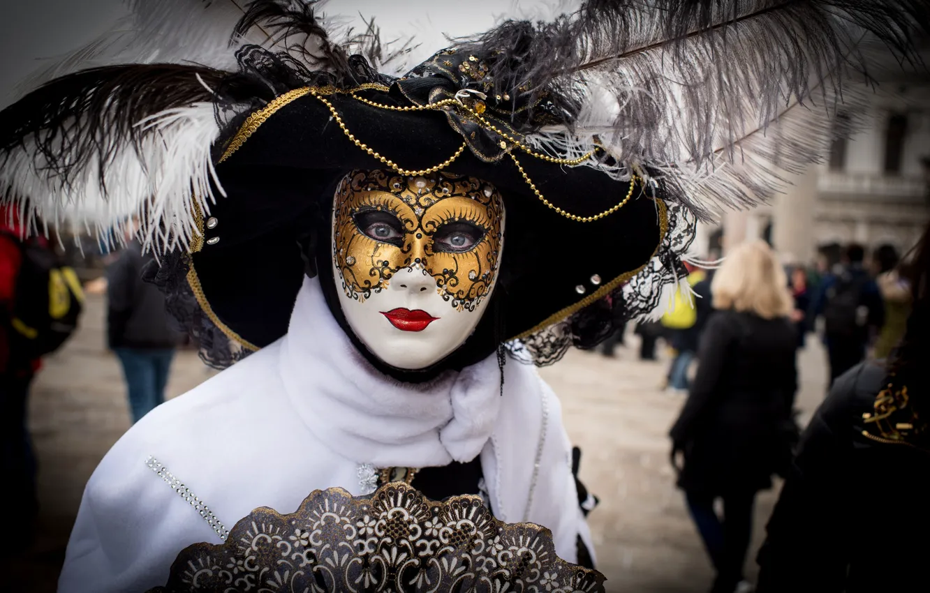 Photo wallpaper feathers, mask, Venice, outfit, carnival