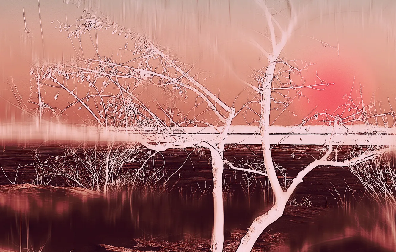 Photo wallpaper river, tree, color