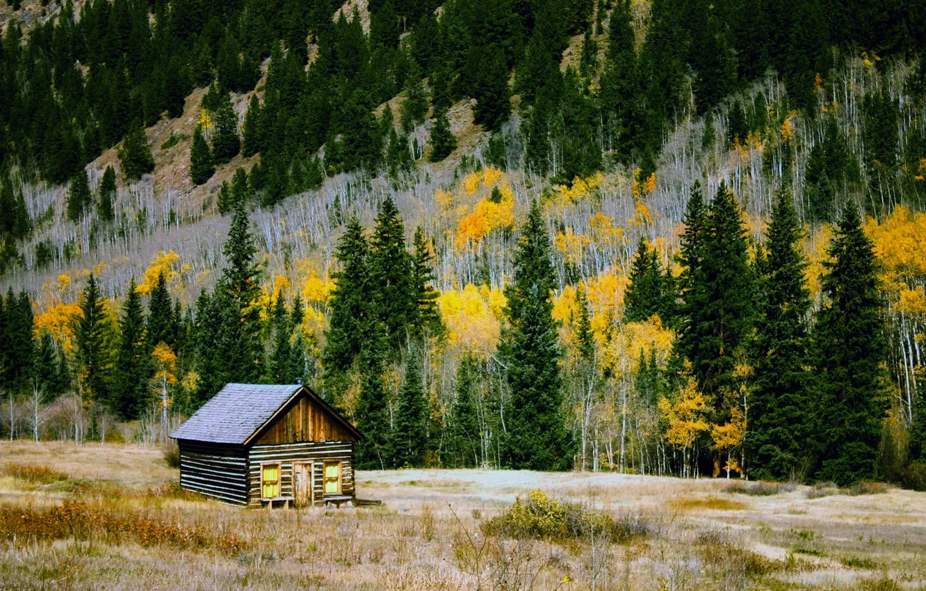 Photo wallpaper autumn, forest, trees, mountains, house, glade, Colorado, USA, hut
