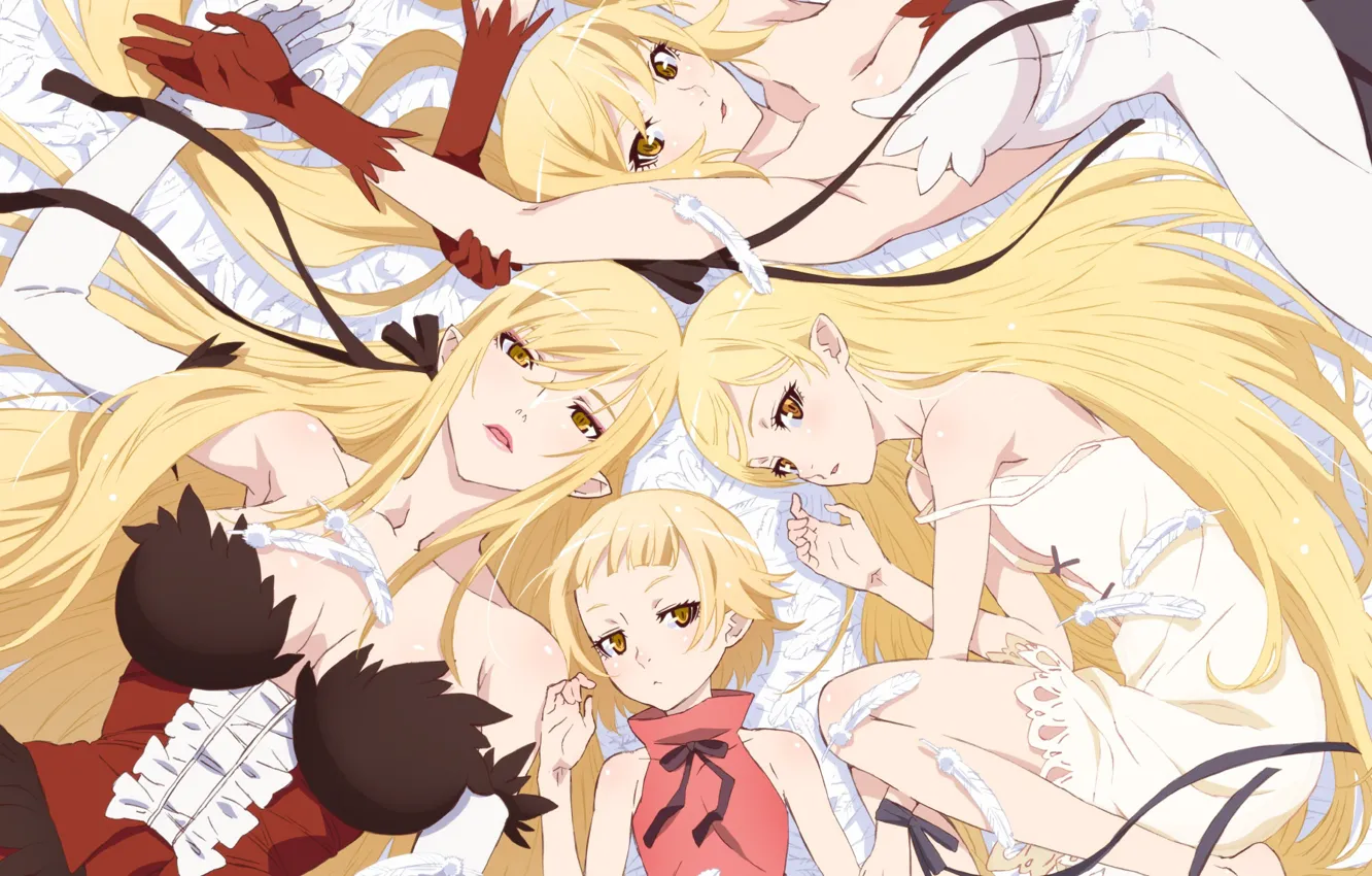Photo wallpaper girls, anime, blonde, Bakemonogatari