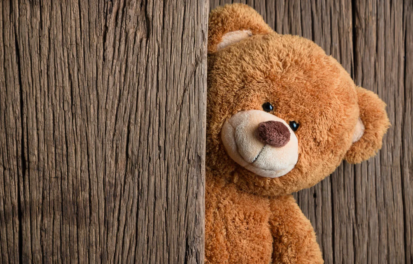 Wallpaper toy, bear, bear, wood, teddy