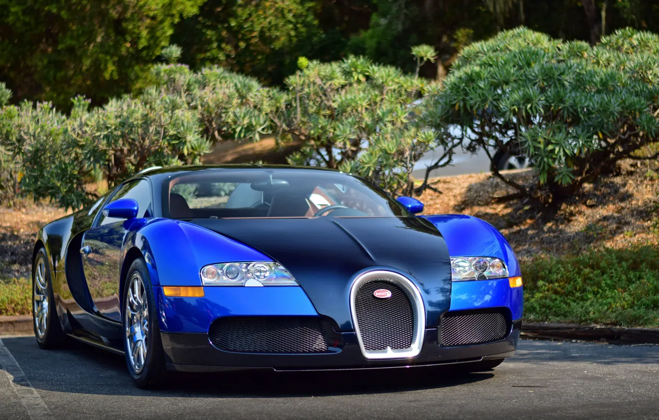 Photo wallpaper veyron, bugatti, blue