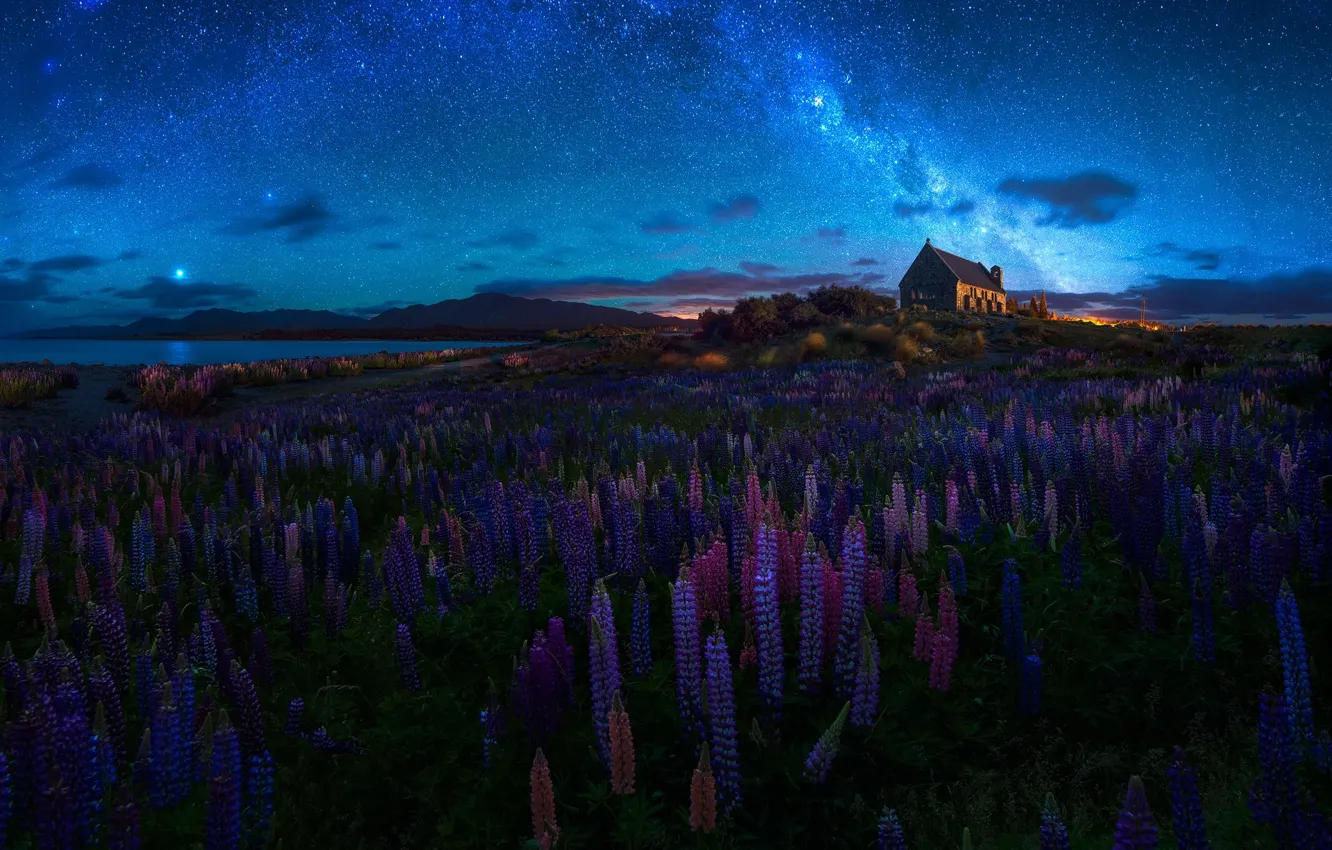 Photo wallpaper summer, the sky, flowers, night, spring, New Zealand, Church, temple, the milky way, lupins