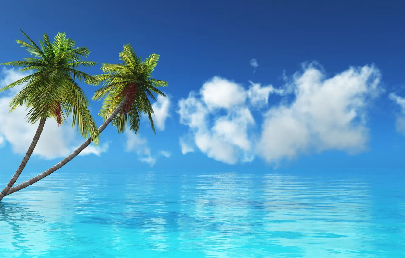 Wallpaper sea, tropics, Palma images for desktop, section природа - download