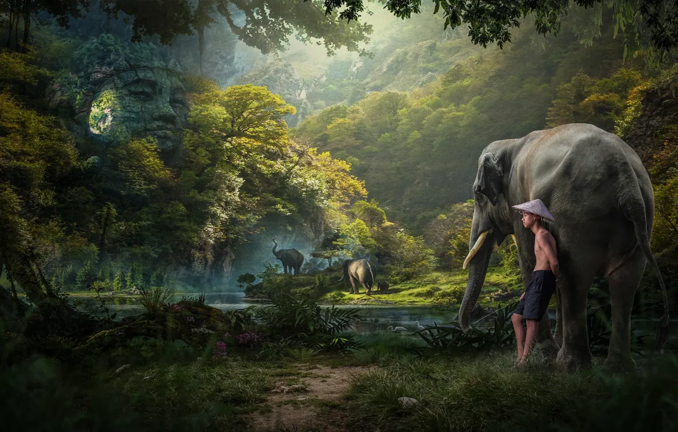 Wallpaper forest, boy, jungle, elephants images for desktop, section разное  - download