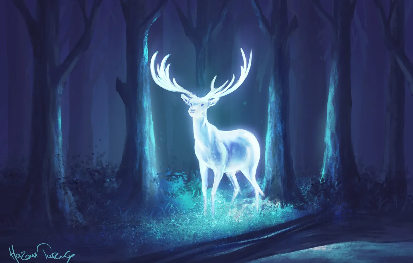 Photo wallpaper forest, night, deer, fantasy, art, horns