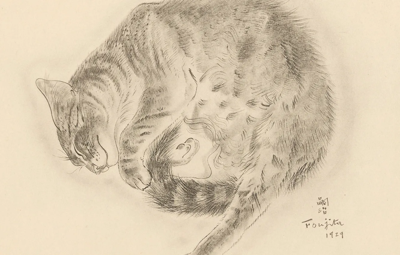 Photo wallpaper cat, sleeping, fluffy, 1929, ulybaetsya, Tsuguharu, Fujita, The Book Of Cats