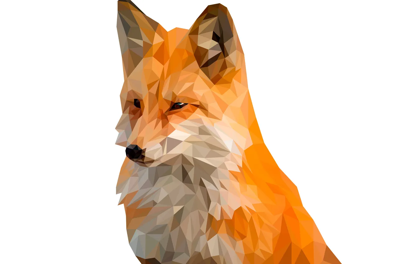 Photo wallpaper background, animal, triangles, Fox