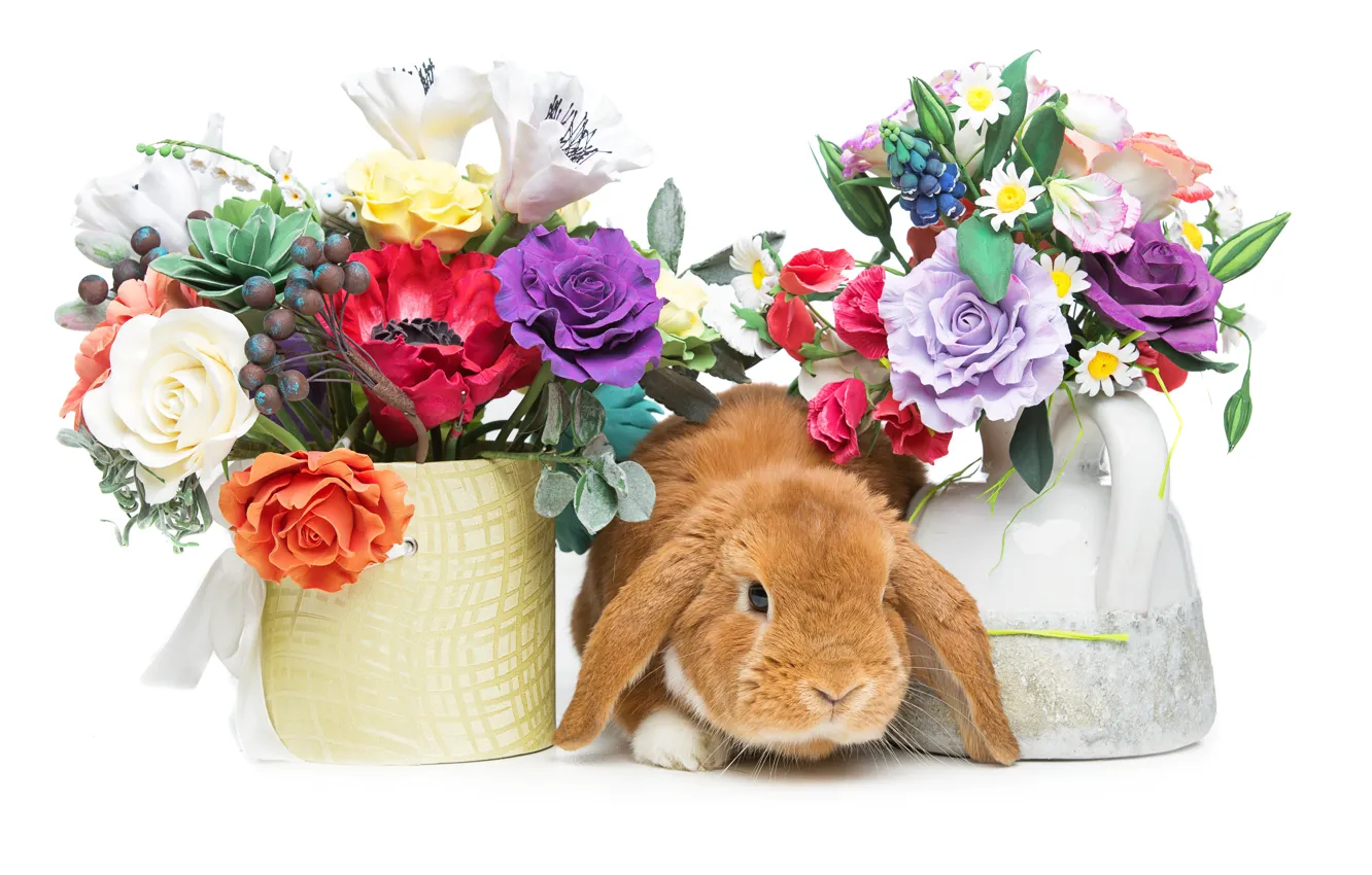 Photo wallpaper flowers, basket, rabbit, Easter, happy, rabbit, flowers, spring, Easter, eggs, bunny, decoration