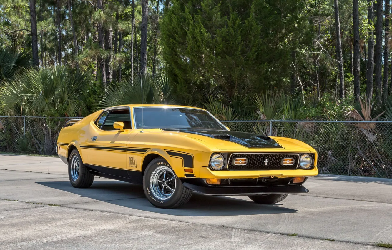 Wallpaper Ford Mustang, Fastback, Yellow, Muscle car, 1972, Mach 1 ...