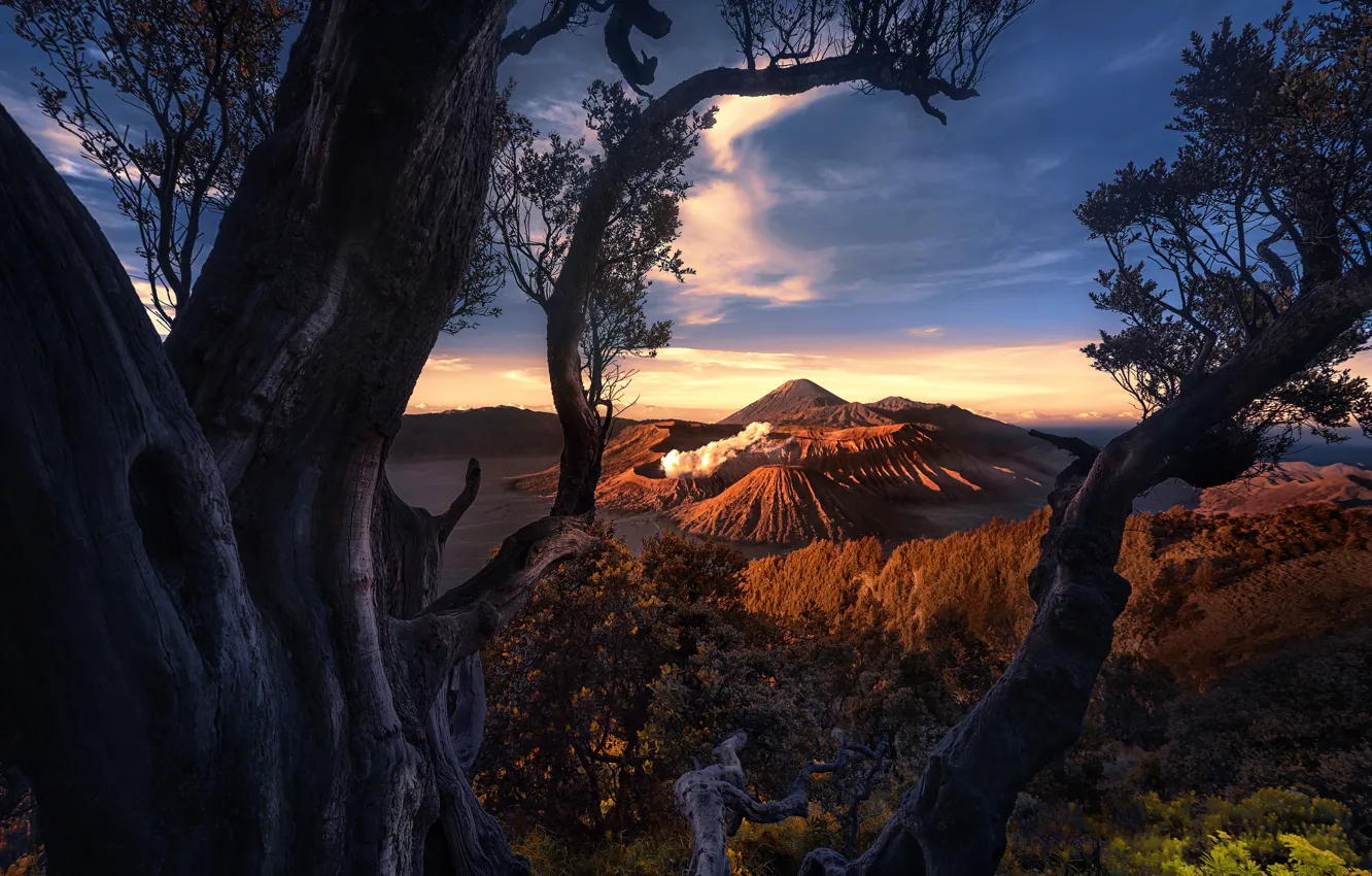 Photo wallpaper clouds, trees, the volcano, Indonesia, Mount Bromo