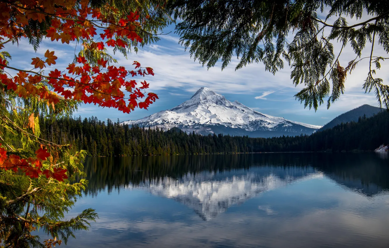 Photo wallpaper autumn, forest, branches, lake, reflection, mountain, Oregon, Oregon, Mount Hood, mount hood, Mount Hood National …