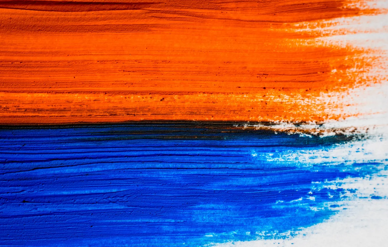 Đem đến cho máy tính của bạn vẻ đẹp tươi tắn và đầy sức sống với hình nền sơn dầu cam, xanh dương đa dạng và phù hợp với nhiều phân khúc khác nhau.