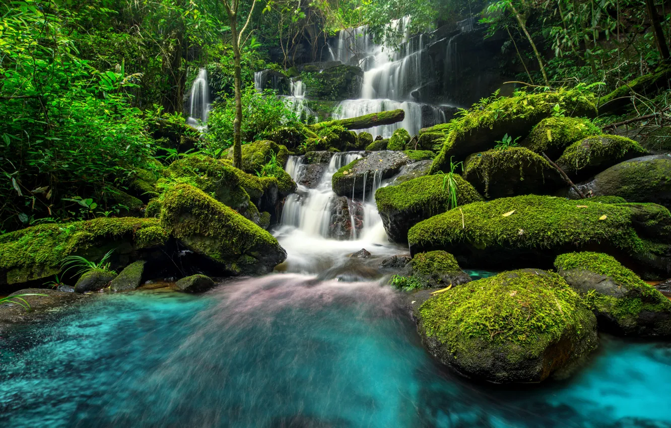 Wallpaper forest, river, waterfall, forest, river, jungle, beautiful,  waterfall, tropical images for desktop, section природа - download