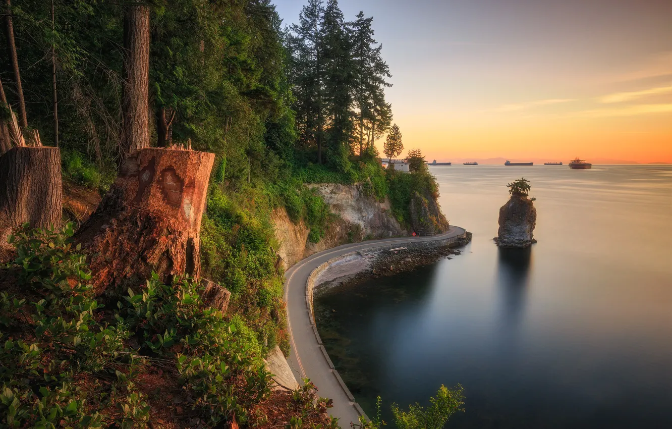 Photo wallpaper road, sea, forest, rock, coast, Canada, Vancouver, Canada, British Columbia, Stanley Park, Vancouver, British Columbia, …